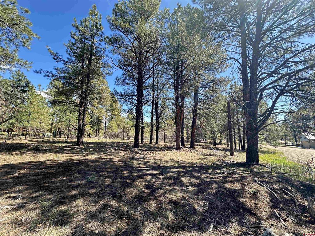 39 W Nebo Court Pagosa Springs CO 81147