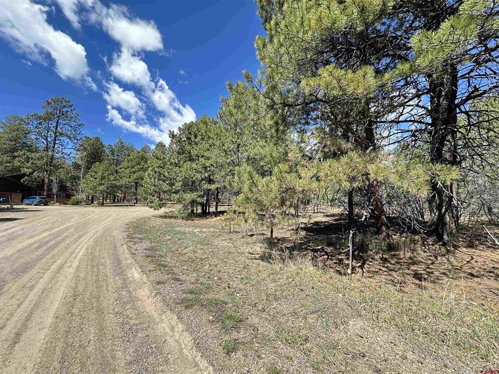 39 W Nebo Court Pagosa Springs CO 81147