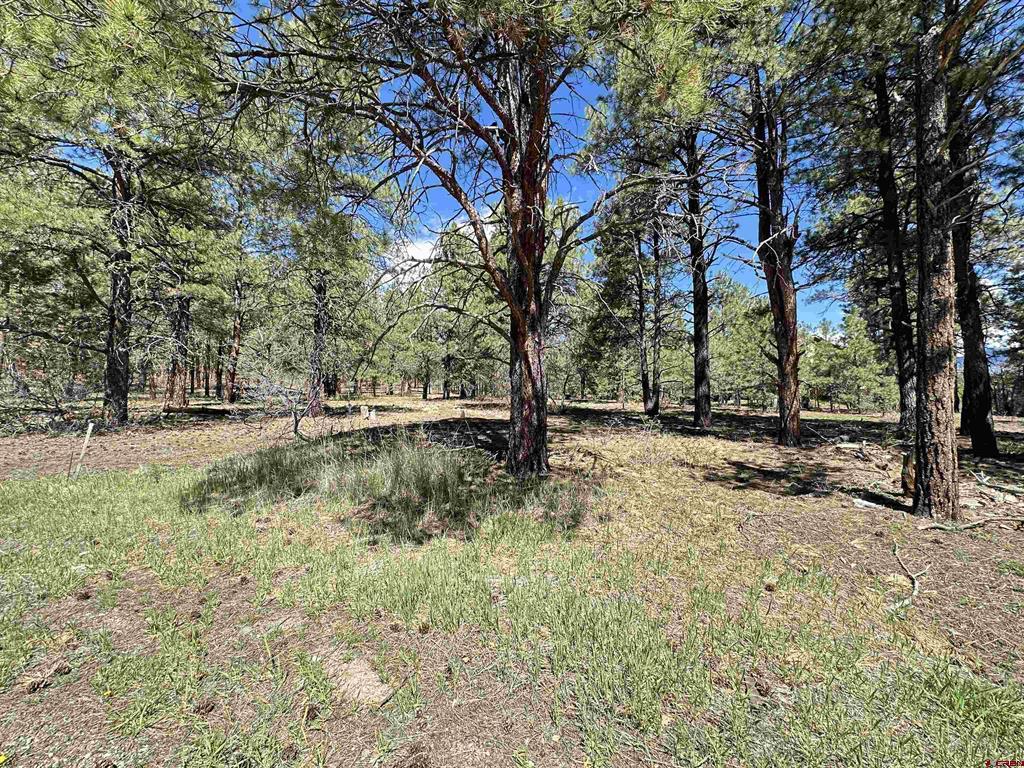 39 W Nebo Court Pagosa Springs CO 81147