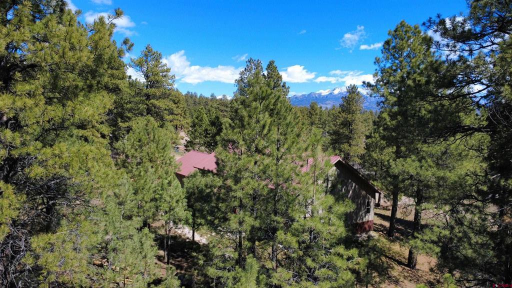 39 W Nebo Court Pagosa Springs CO 81147