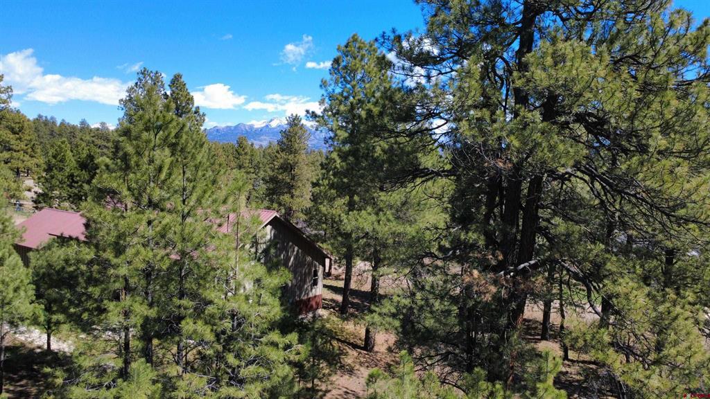 39 W Nebo Court Pagosa Springs CO 81147