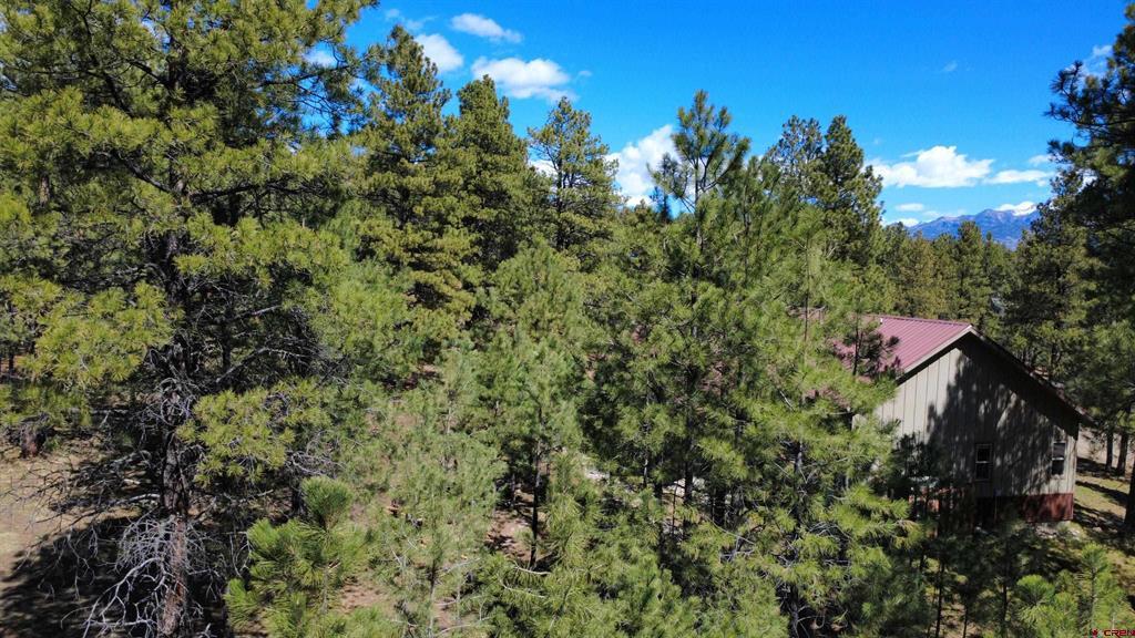 39 W Nebo Court Pagosa Springs CO 81147