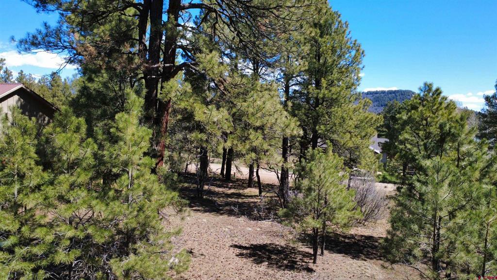 39 W Nebo Court Pagosa Springs CO 81147