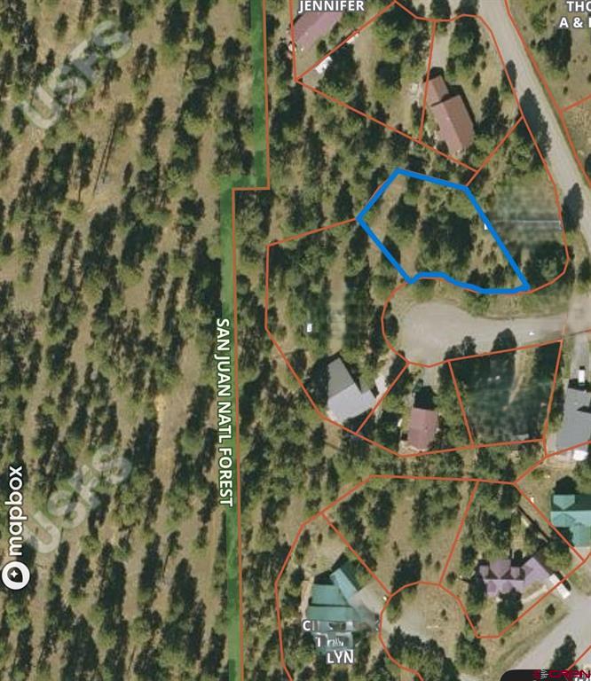 39 W Nebo Court Pagosa Springs CO 81147