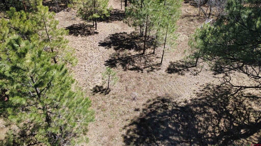39 W Nebo Court Pagosa Springs CO 81147