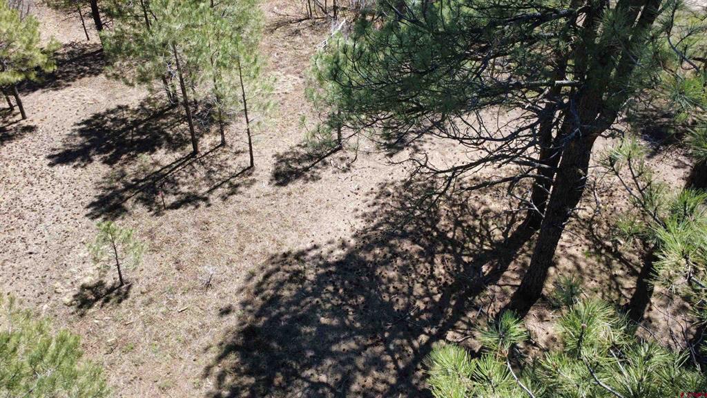 39 W Nebo Court Pagosa Springs CO 81147