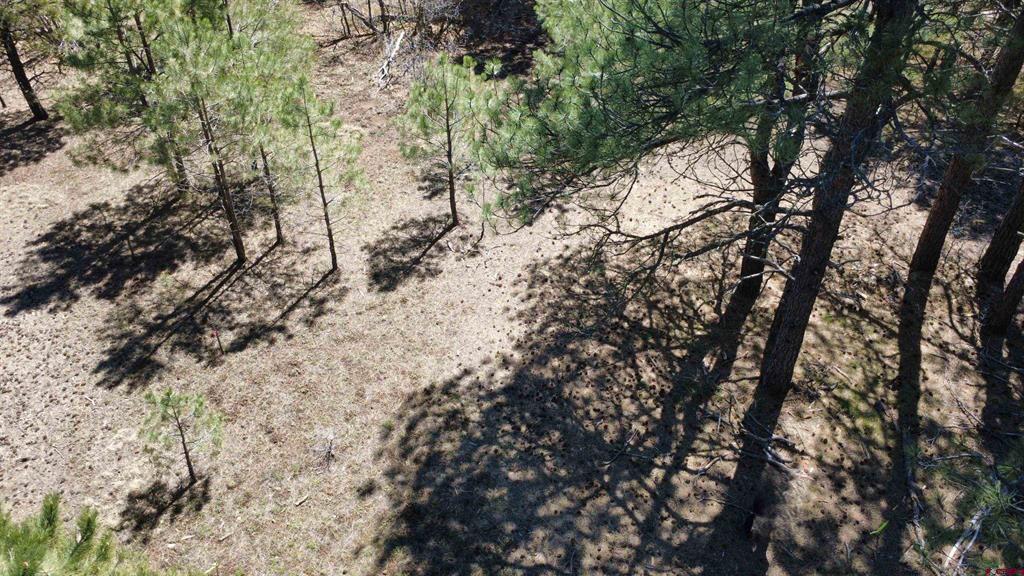 39 W Nebo Court Pagosa Springs CO 81147