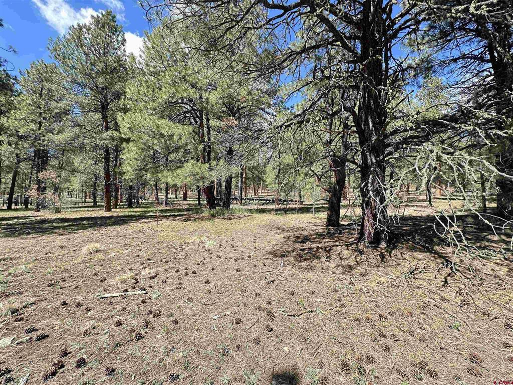 39 W Nebo Court Pagosa Springs CO 81147