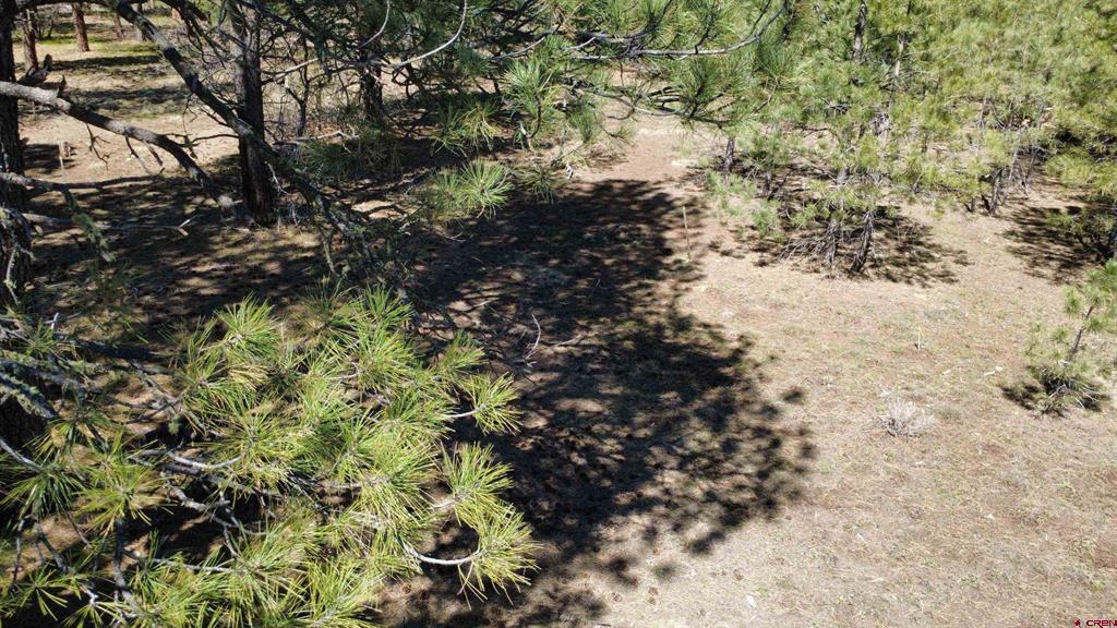 39 W Nebo Court Pagosa Springs CO 81147