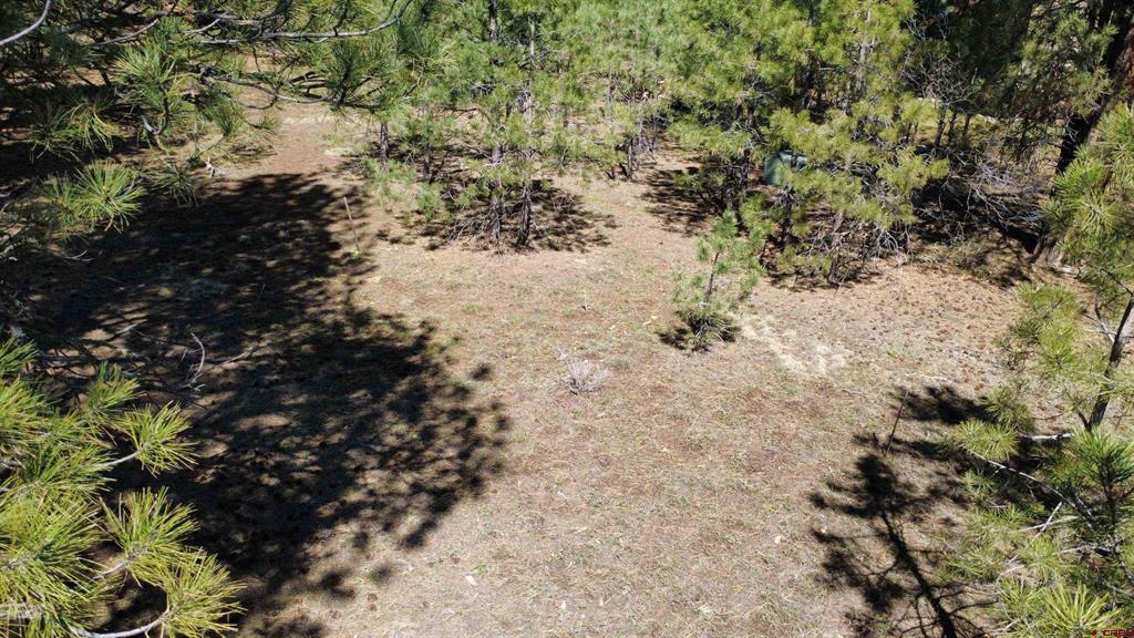 39 W Nebo Court Pagosa Springs CO 81147