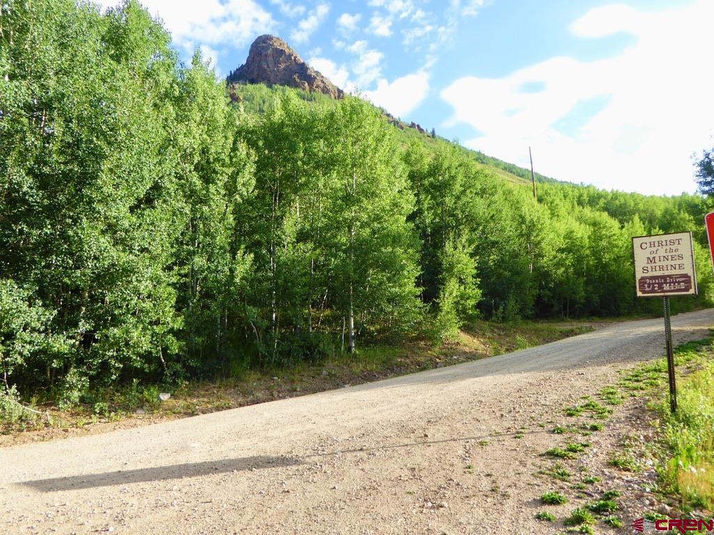 Tbd County Road 6 Silverton CO 81433