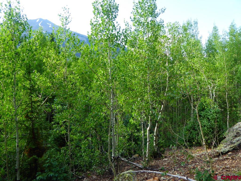 Tbd County Road 6 Silverton CO 81433