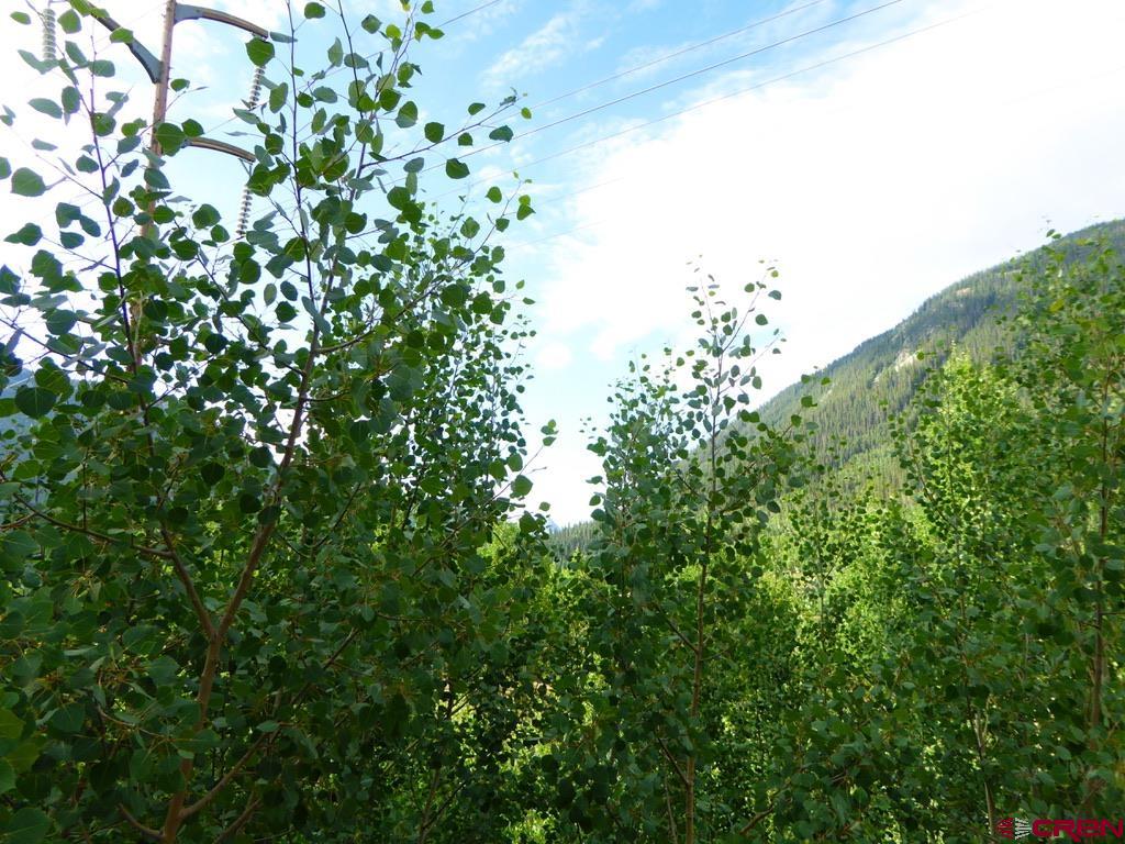 Tbd County Road 6 Silverton CO 81433