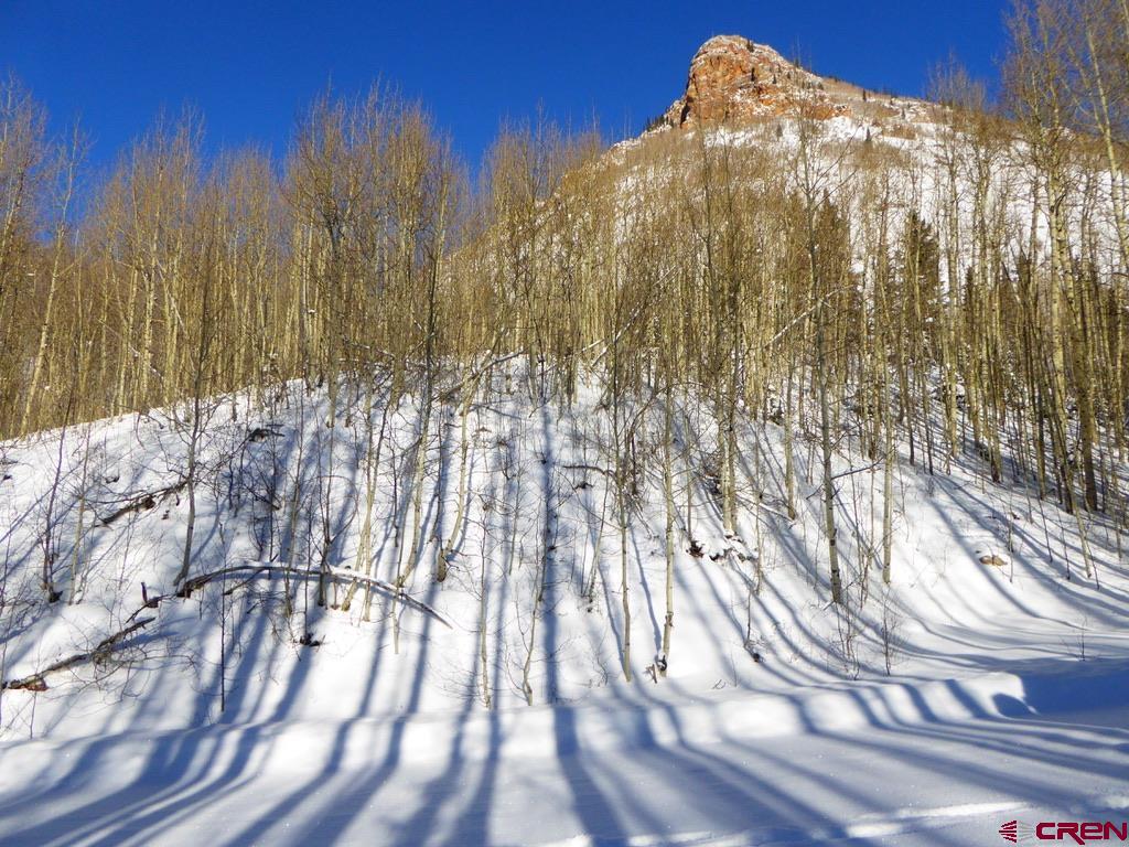Tbd County Road 6 Silverton CO 81433