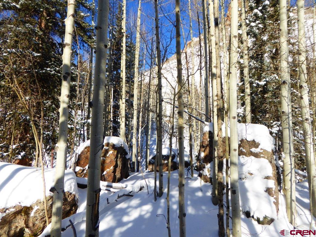 Tbd County Road 6 Silverton CO 81433