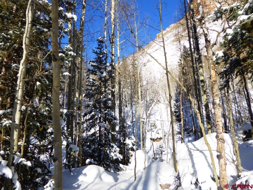 Tbd County Road 6 Silverton CO 81433