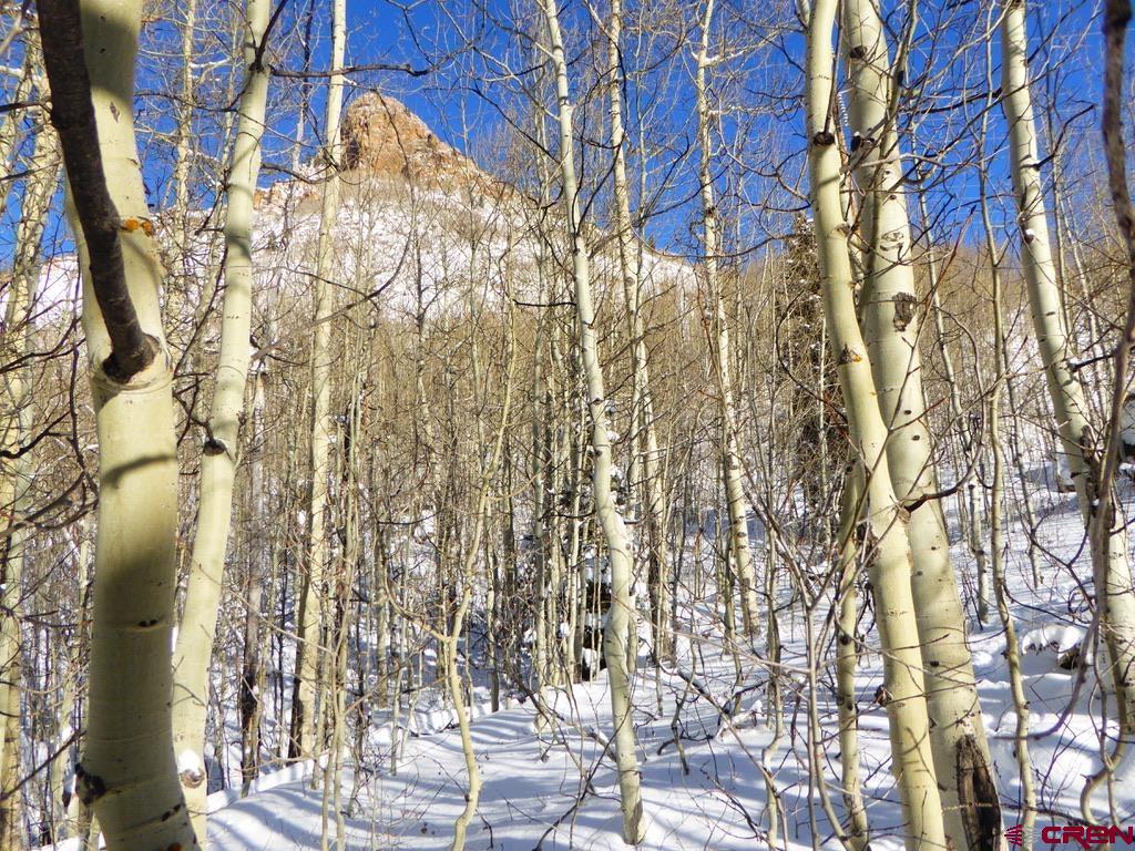 Tbd County Road 6 Silverton CO 81433