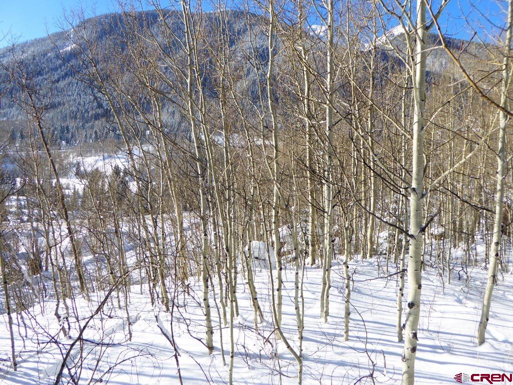 Tbd County Road 6 Silverton CO 81433
