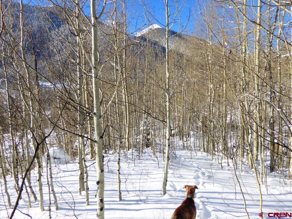 Tbd County Road 6 Silverton CO 81433