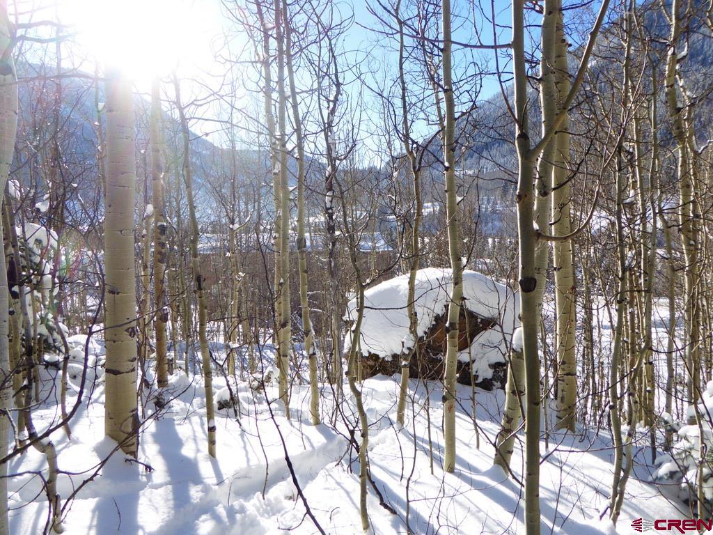 Tbd County Road 6 Silverton CO 81433