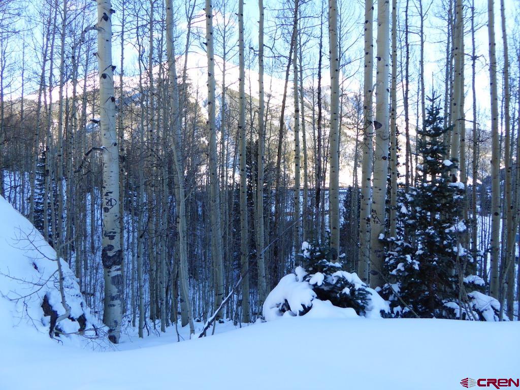 Tbd County Road 6 Silverton CO 81433
