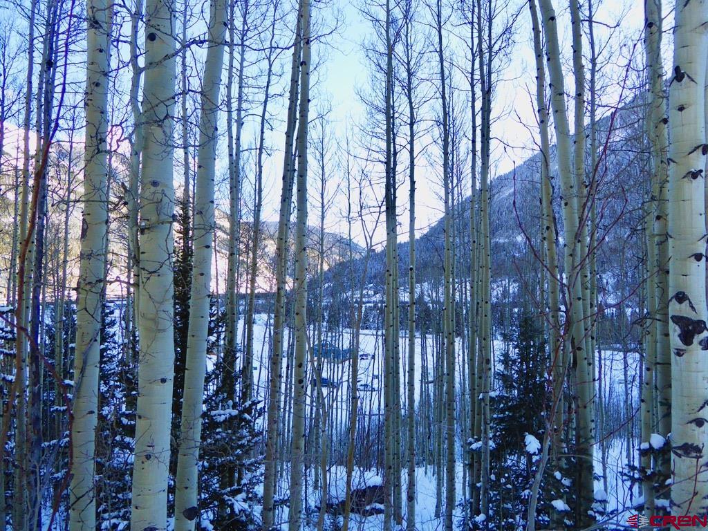 Tbd County Road 6 Silverton CO 81433