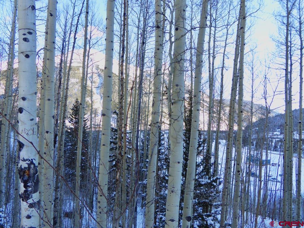 Tbd County Road 6 Silverton CO 81433