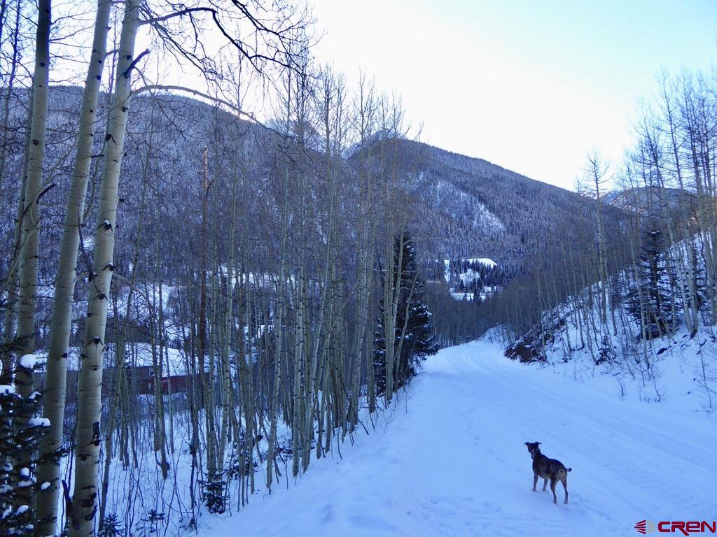 Tbd County Road 6 Silverton CO 81433
