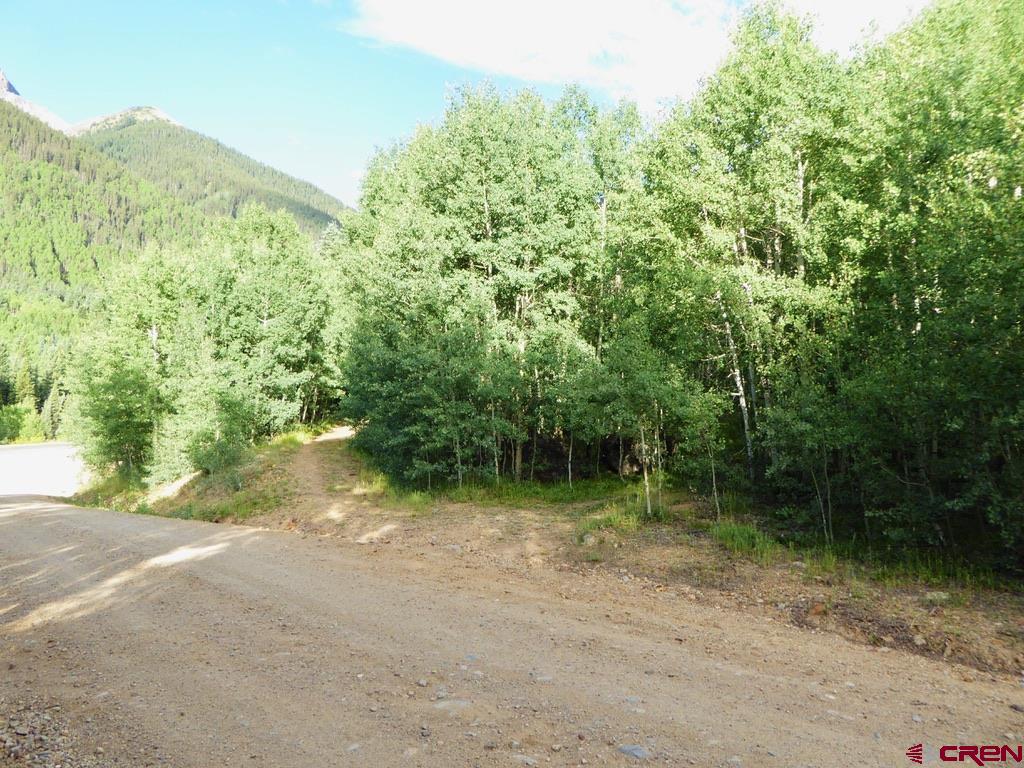 Tbd County Road 6 Silverton CO 81433