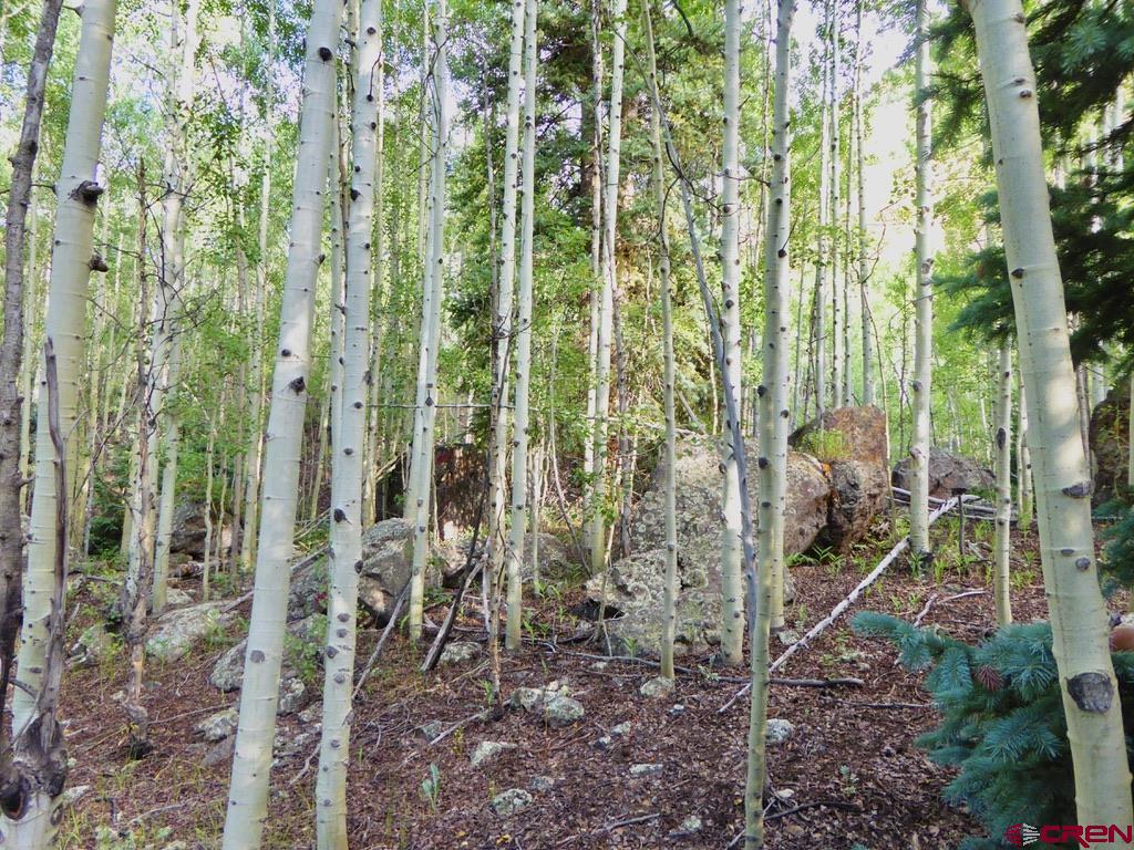 Tbd County Road 6 Silverton CO 81433