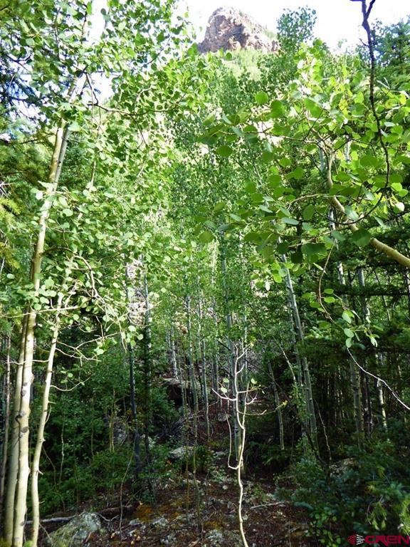 Tbd County Road 6 Silverton CO 81433