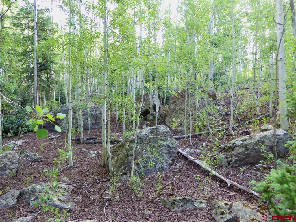 Tbd County Road 6 Silverton CO 81433