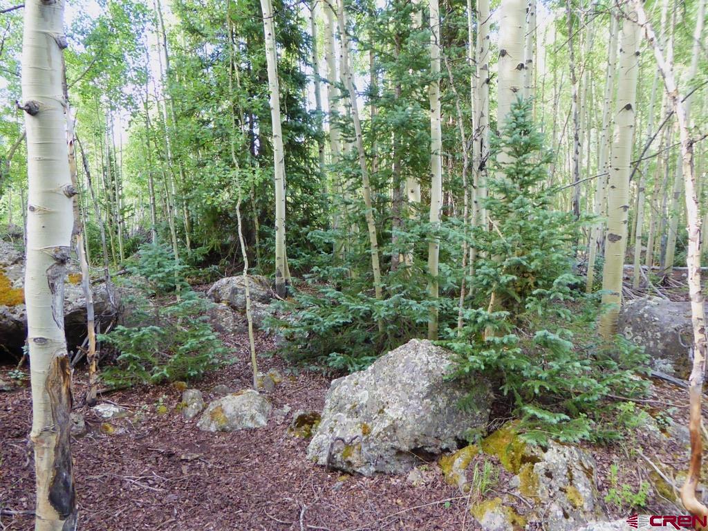 Tbd County Road 6 Silverton CO 81433