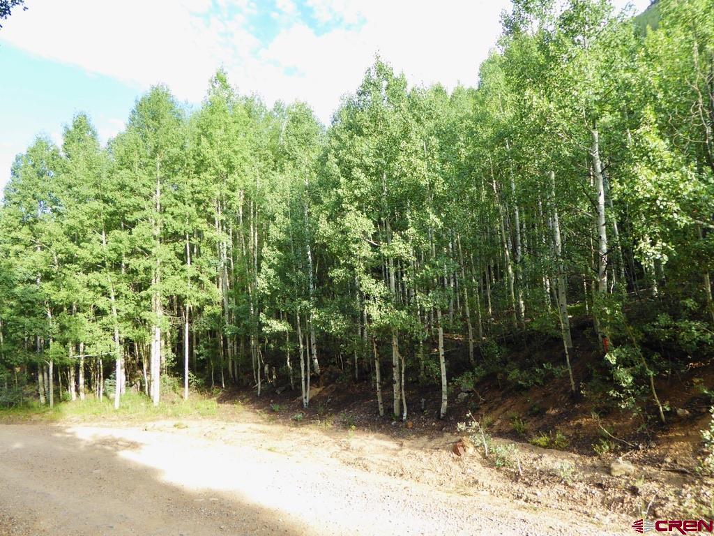 Tbd County Road 6 Silverton CO 81433