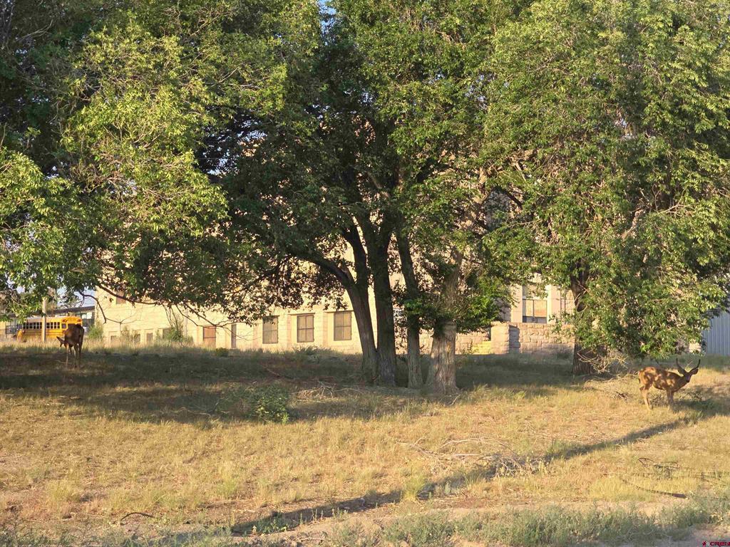 Tbd 9th Street Del Norte CO 81132