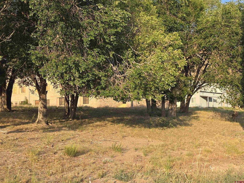 Tbd 9th Street Del Norte CO 81132