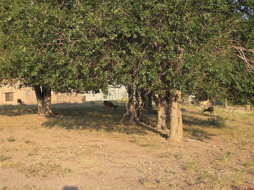Tbd 9th Street Del Norte CO 81132