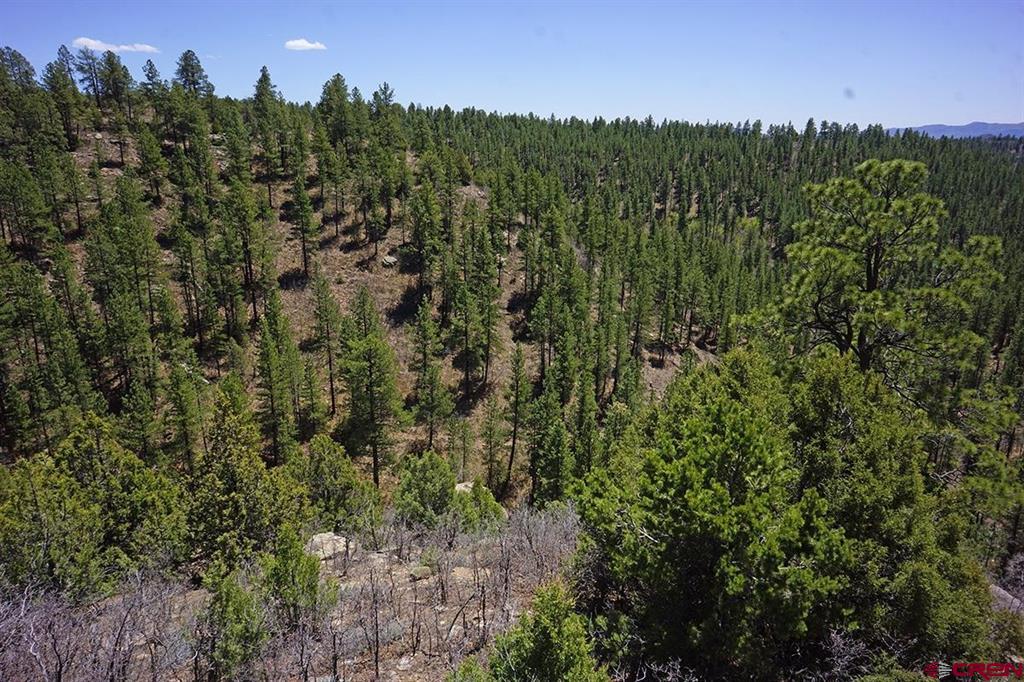 11 Tbd Road 37.1 Mancos CO 81328