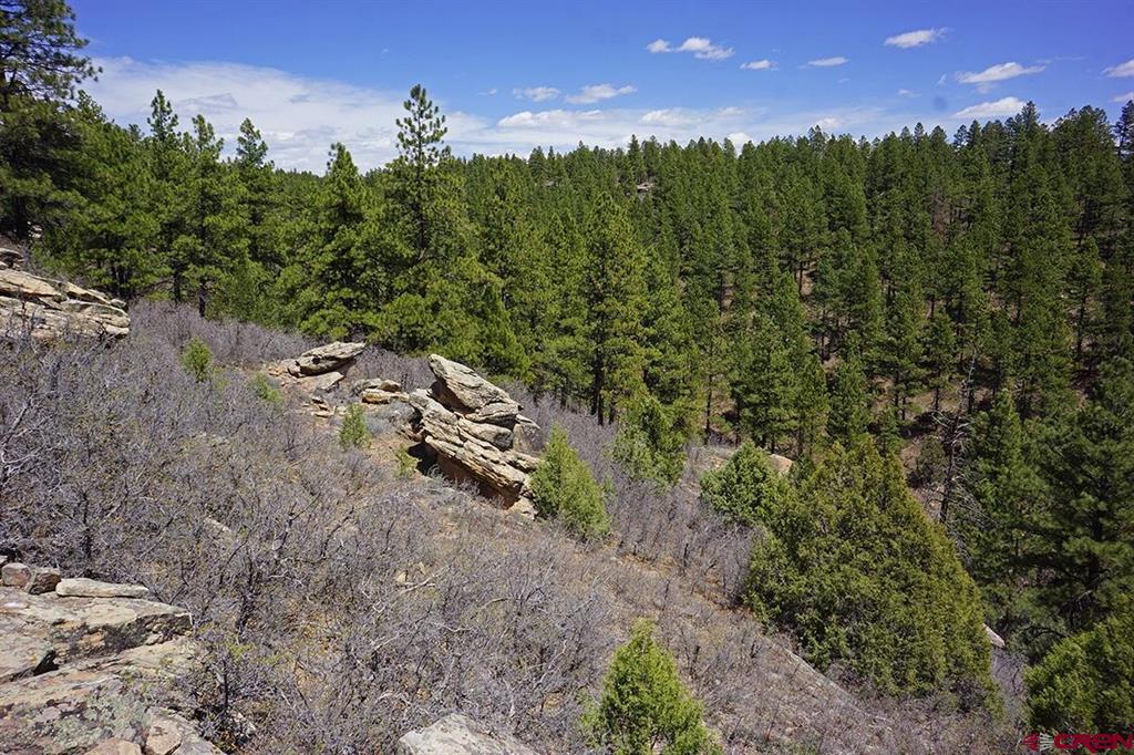 11 Tbd Road 37.1 Mancos CO 81328