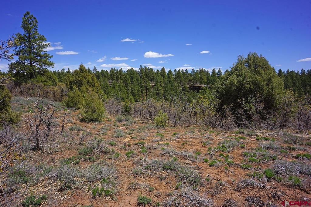 11 Tbd Road 37.1 Mancos CO 81328
