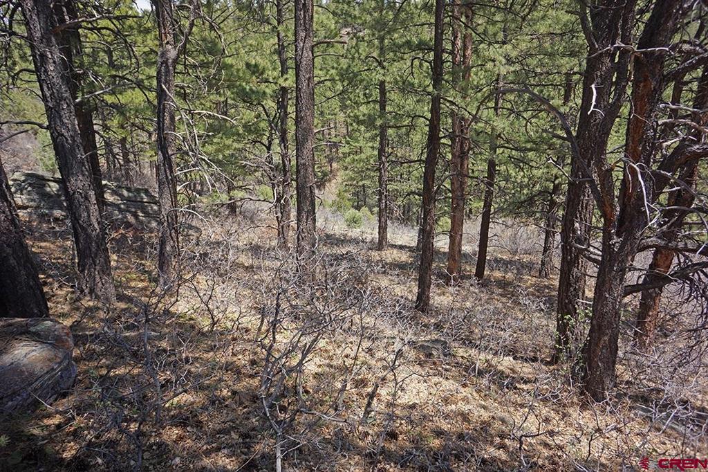 11 Tbd Road 37.1 Mancos CO 81328