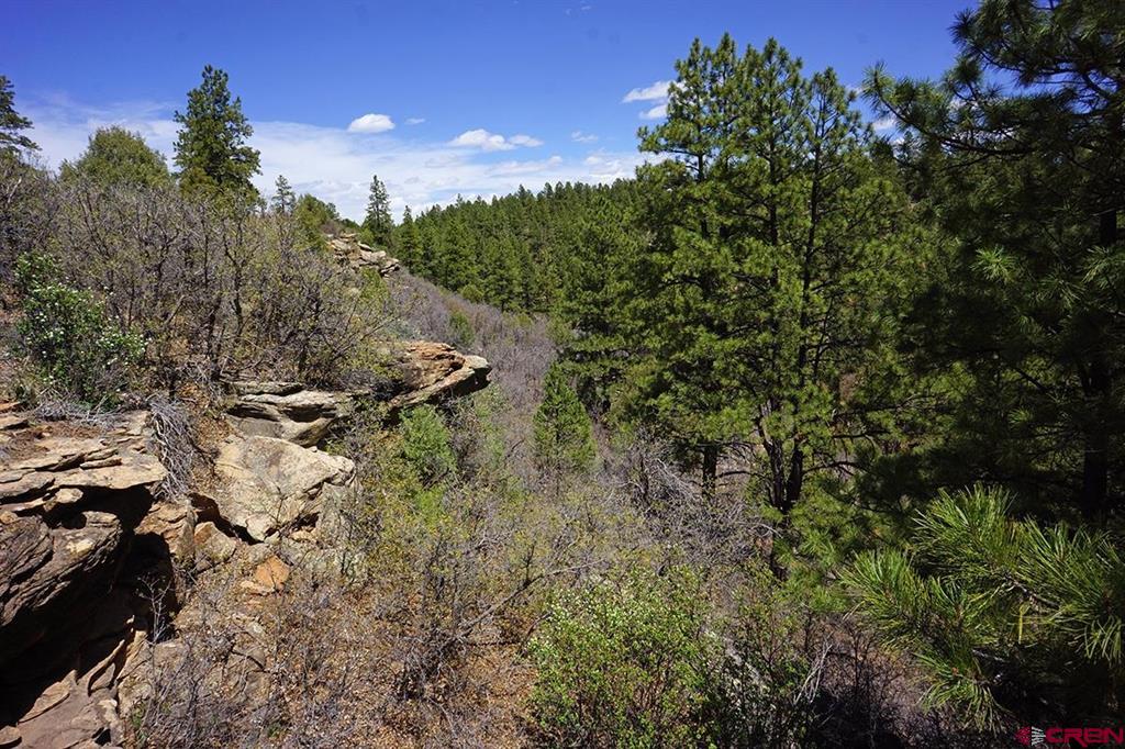11 Tbd Road 37.1 Mancos CO 81328