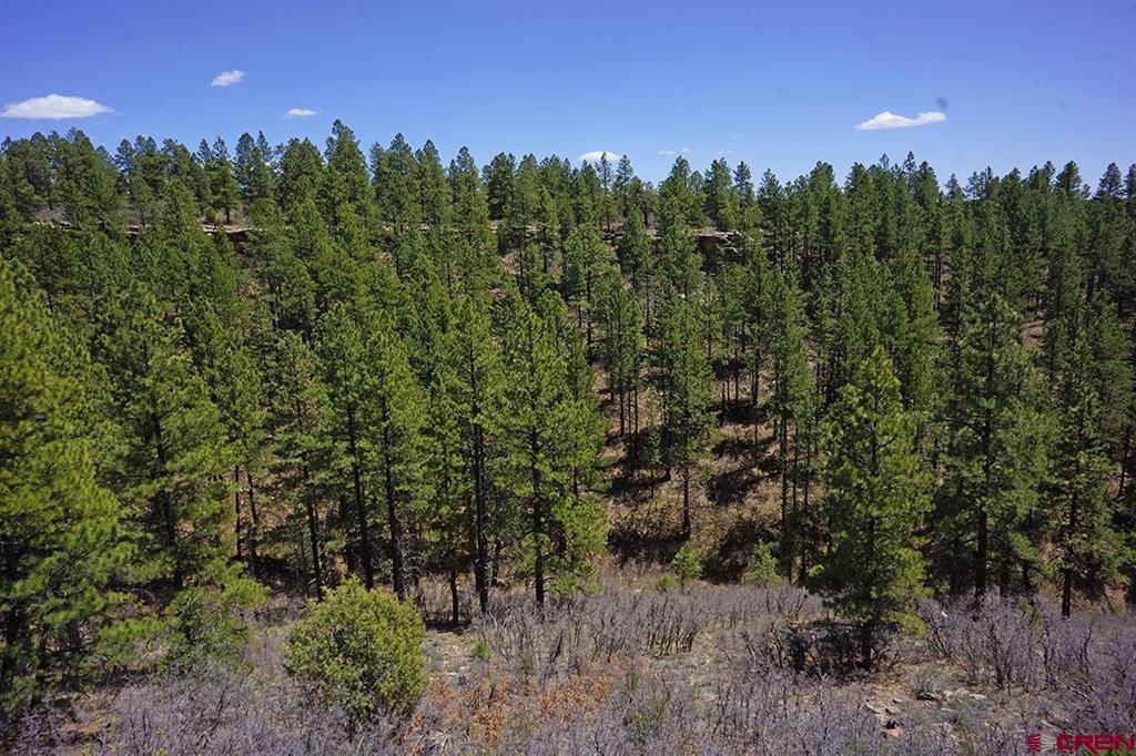 11 Tbd Road 37.1 Mancos CO 81328
