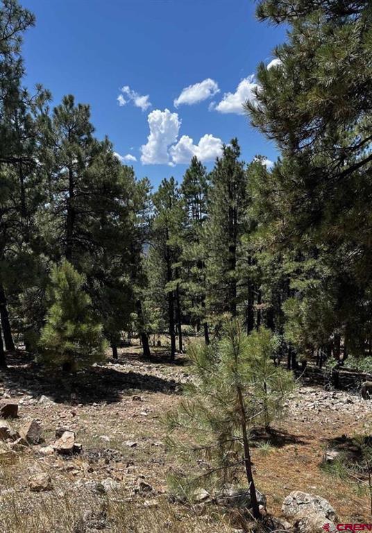 144 Woodridge Circle Pagosa Springs CO 81147