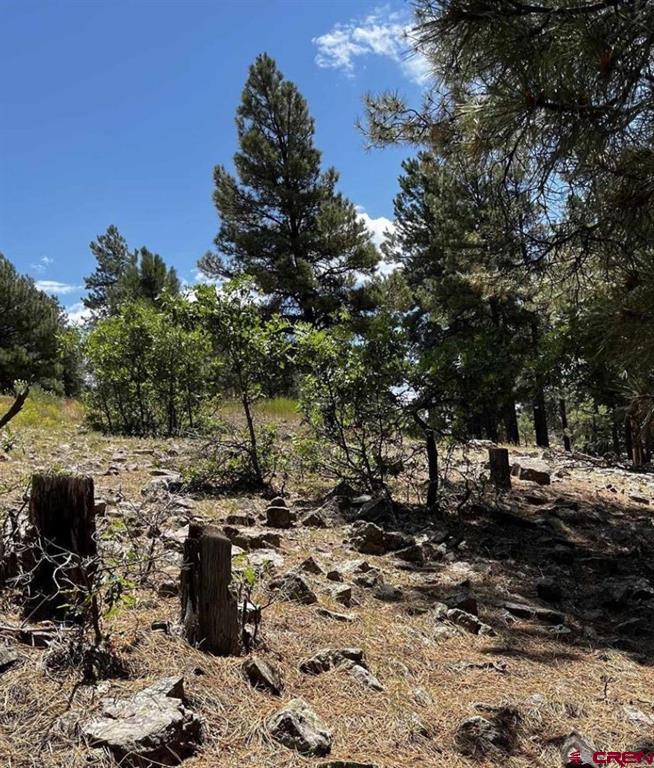 144 Woodridge Circle Pagosa Springs CO 81147