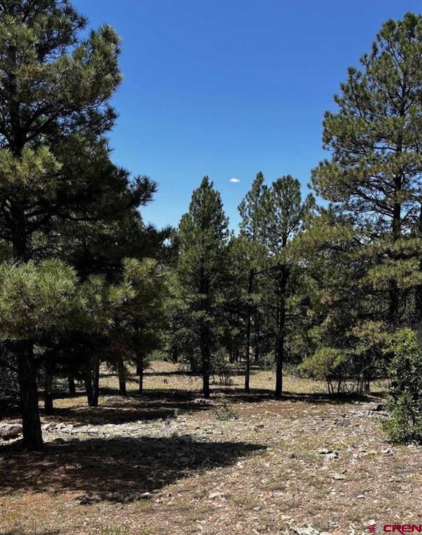 144 Woodridge Circle Pagosa Springs CO 81147