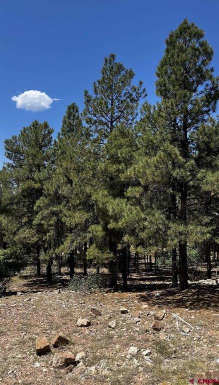 144 Woodridge Circle Pagosa Springs CO 81147