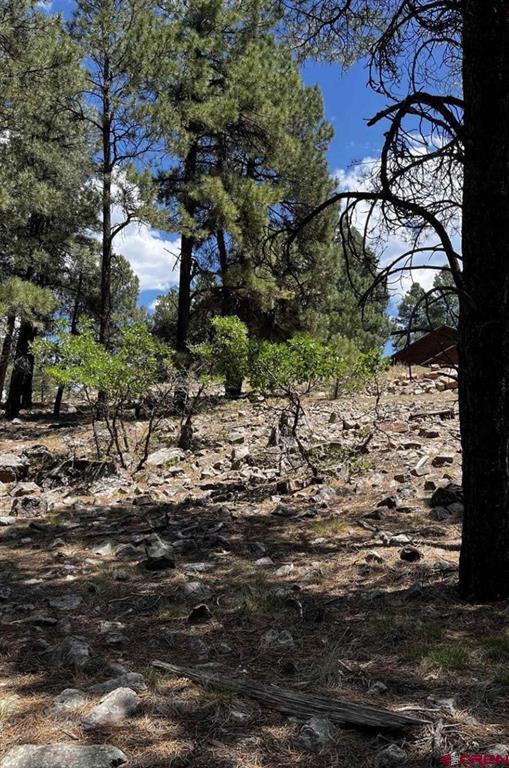 144 Woodridge Circle Pagosa Springs CO 81147