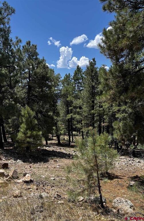 144 Woodridge Circle Pagosa Springs CO 81147