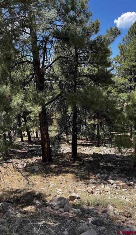 144 Woodridge Circle Pagosa Springs CO 81147